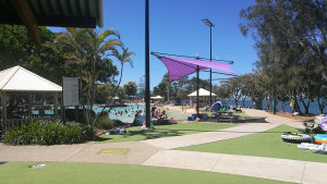 Paths and artificial grass, at Settlement Cove Lagoon in Redcliffe