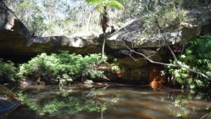 Water pool with rock ledge above, at the Fern Tree Pool Circuit walk at Cania Gorge