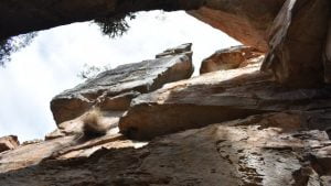 Looking up from a crevice in the cliffs, from the King Orchid Crevice on the Two Storey Cave walk at Cania Gorge