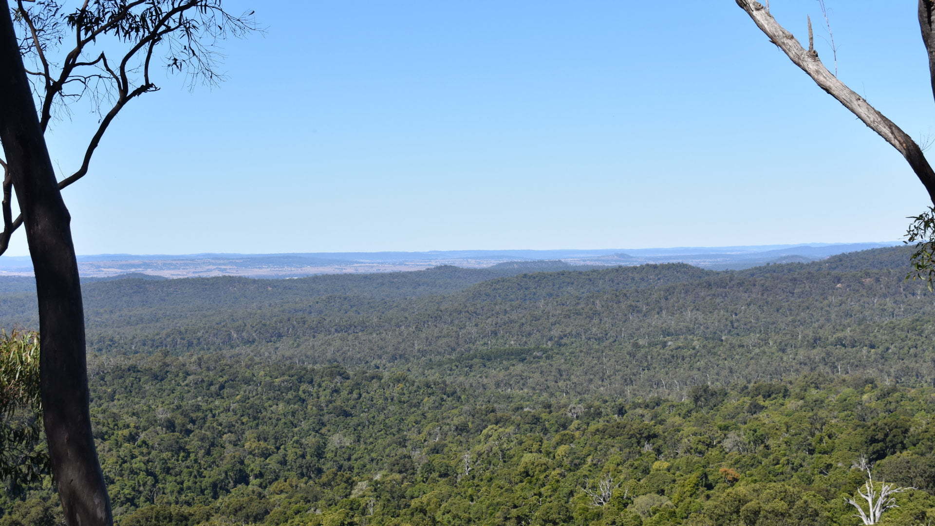 View from Hurdle Gully Lookout in Coominglah State Forest