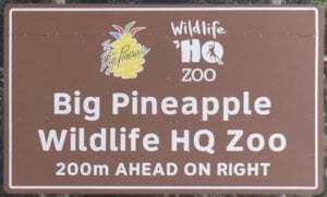 Brown sign for Big Pineapple and Wildlife HQ Zoo, 200m ahead on right