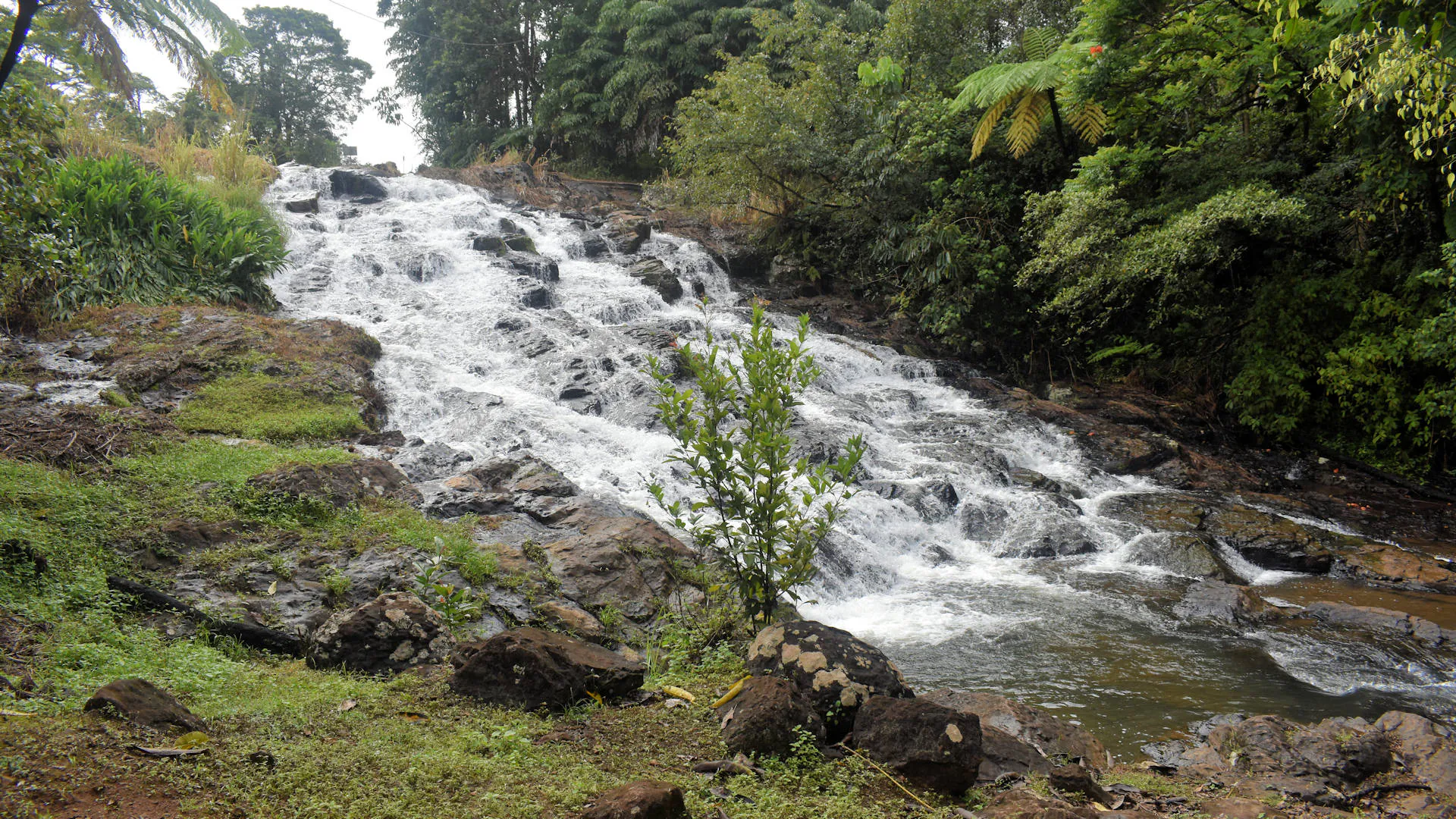 The top section of the Mungalli Falls