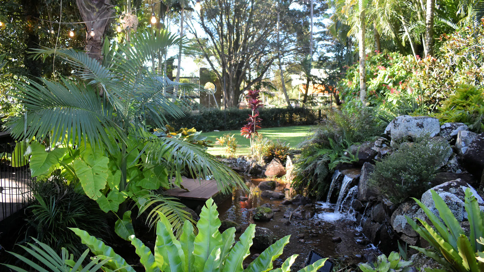 Garden at Summerland House Farm near Alstonville