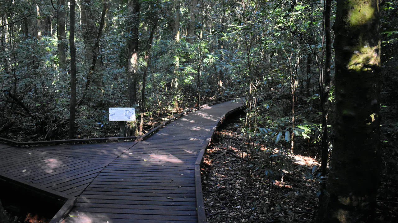 Boardwalk trail through Victoria Park Nature Reserve