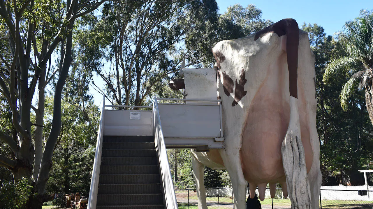 Stairs leading up to the Big Cow