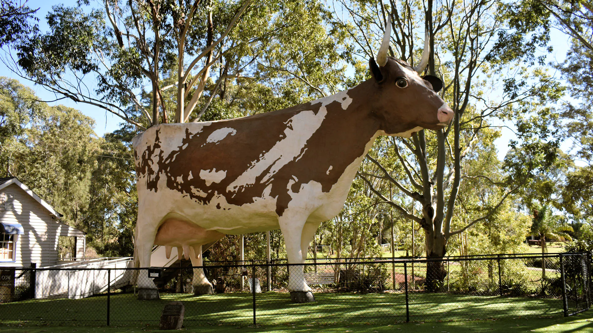 The Big Cow at the Pioneer Museum